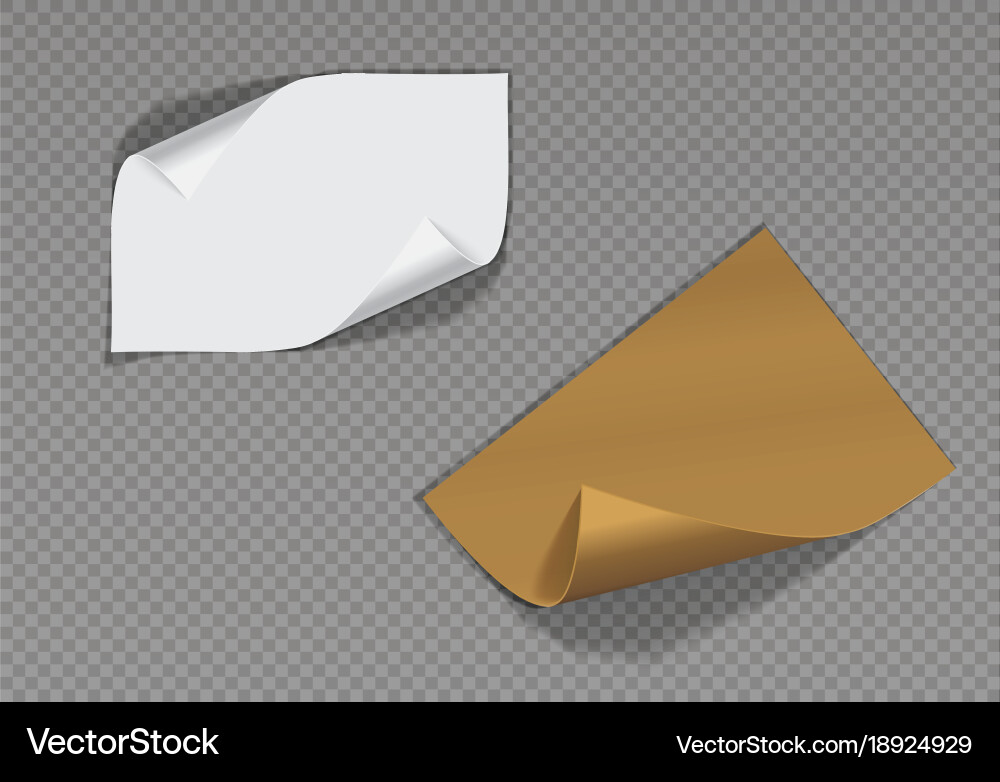 Page curl with shadow on a blank sheet of paper vector image
