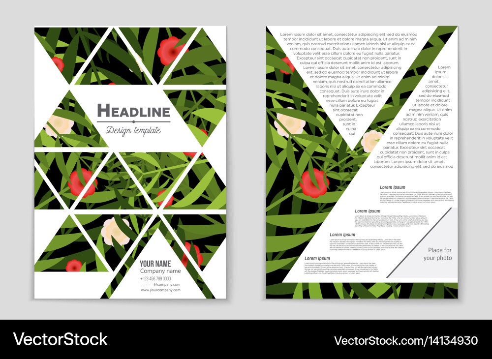 Abstract layout background set for art vector image