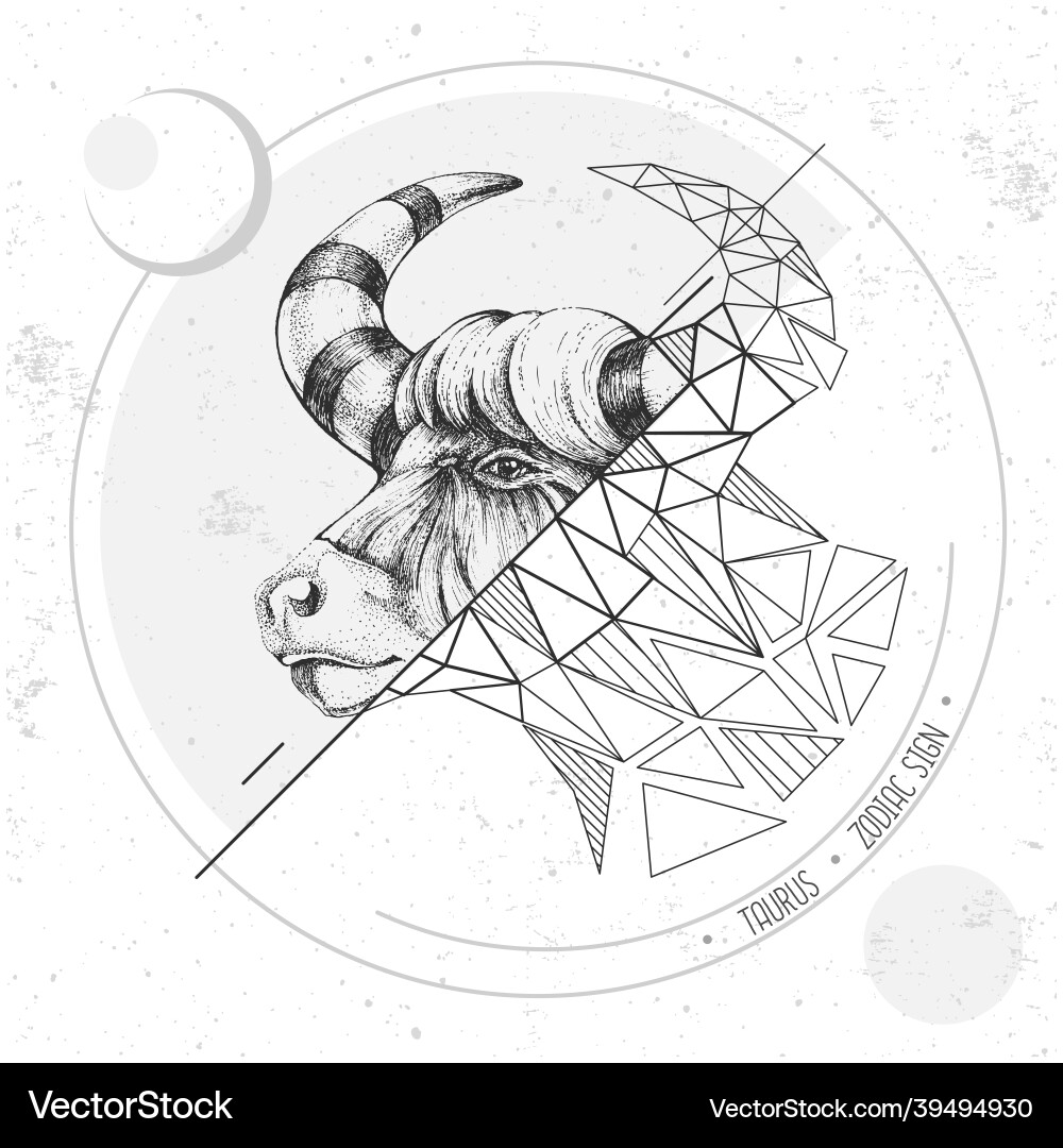Magic card with astrology taurus zodiac sign Magic card with astrology taurus zodiac sign vector image