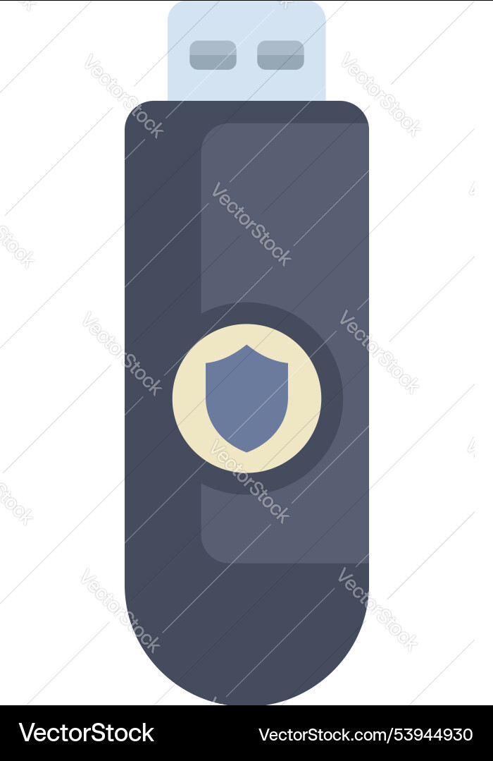 Usb flash drive with a shield protecting data Vector Image