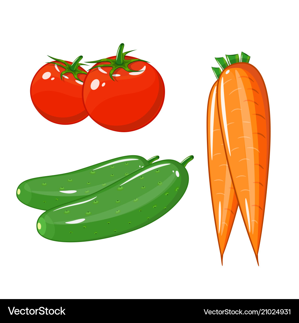 Set of vegetables tomatoes carrots Set of vegetables tomatoes carrots vector image