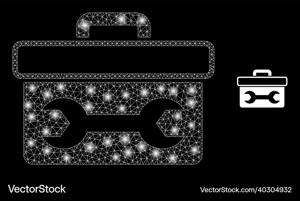 Mesh web wrench toolbox with majestic Mesh web wrench toolbox with majestic vector image