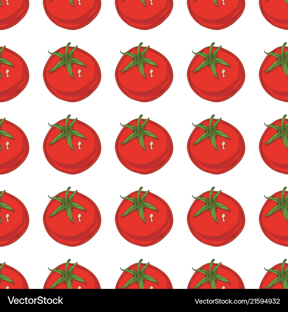Seamless pattern with ripe red tomatoes Seamless pattern with ripe red tomatoes vector image