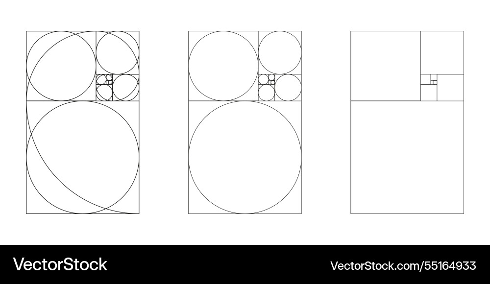 Fibonacci array numbers harmony proportions Fibonacci array numbers harmony proportions vector image