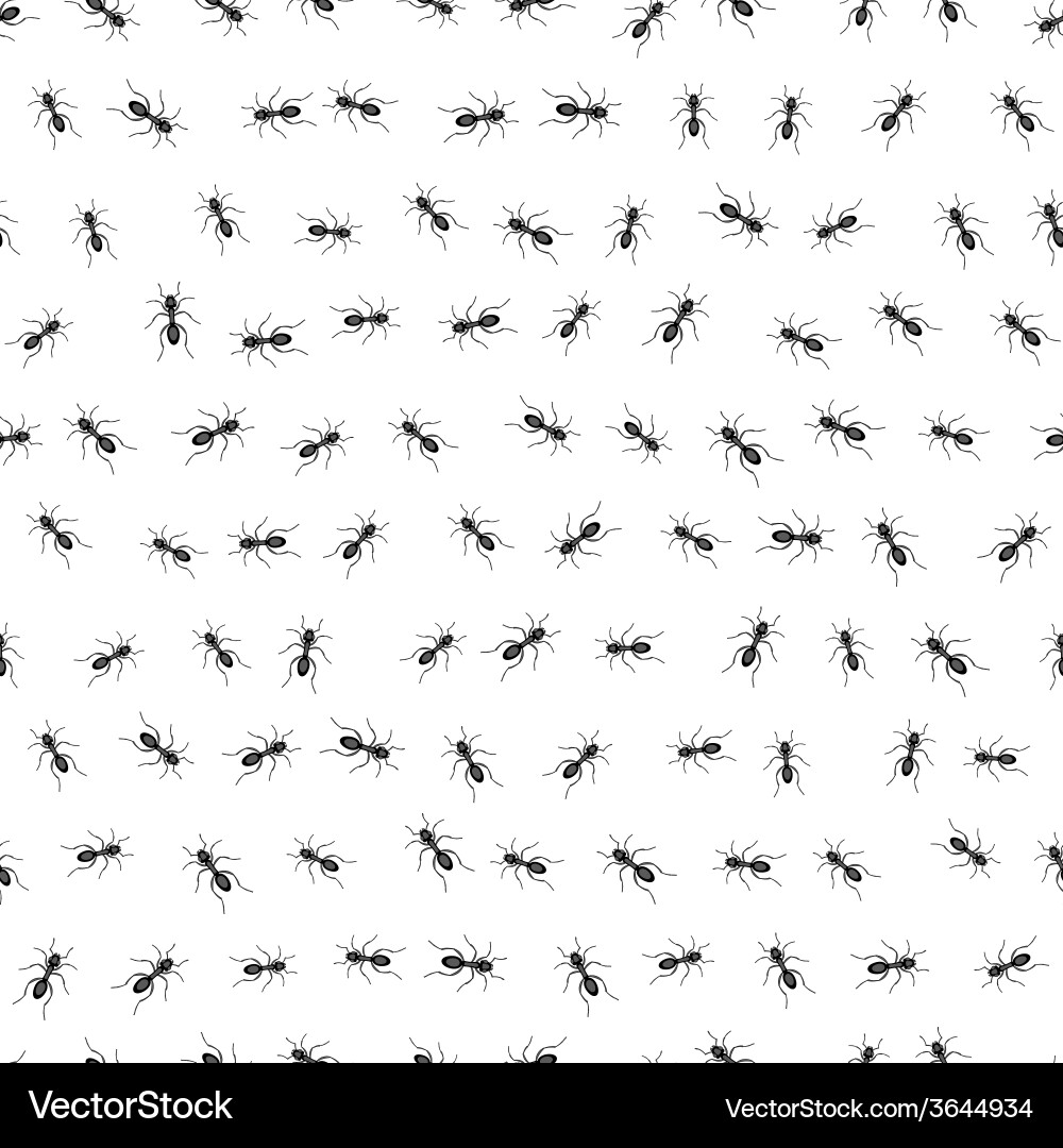 Ant Seamless Pattern vector image