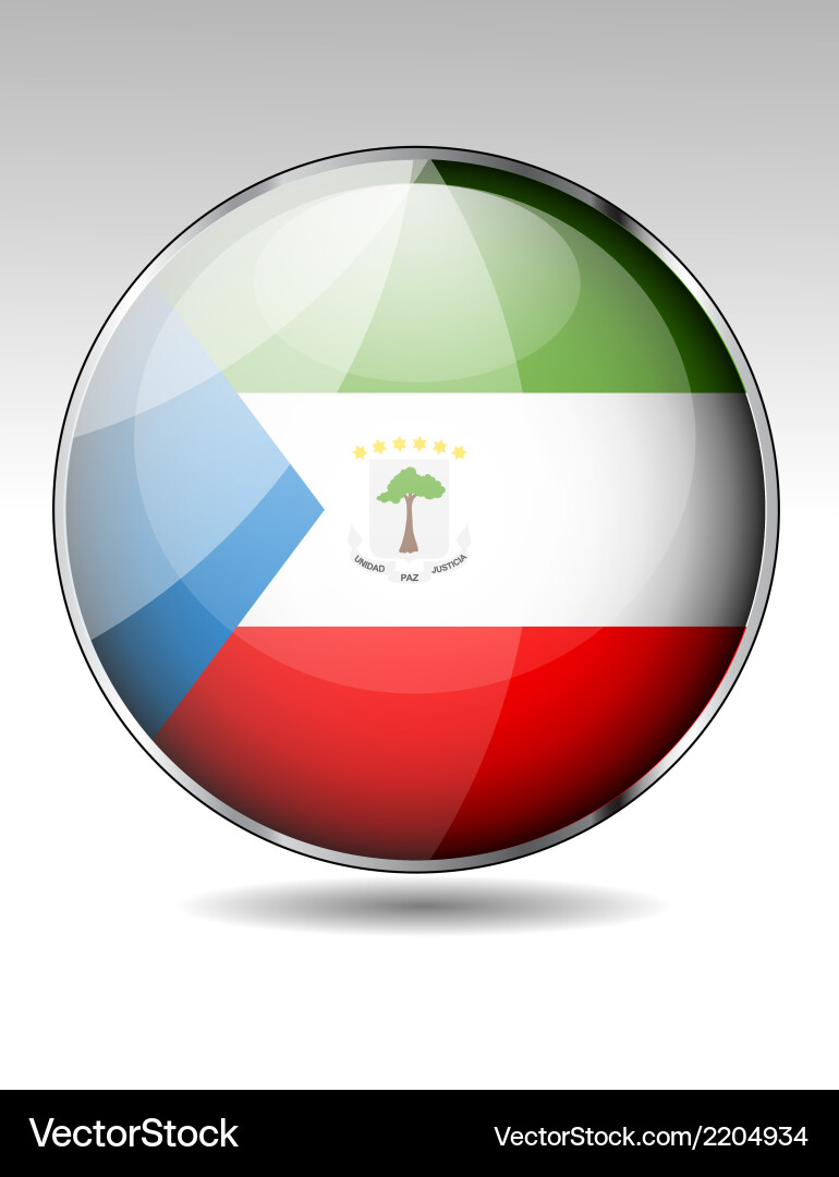 Flag button design elements Vector Image