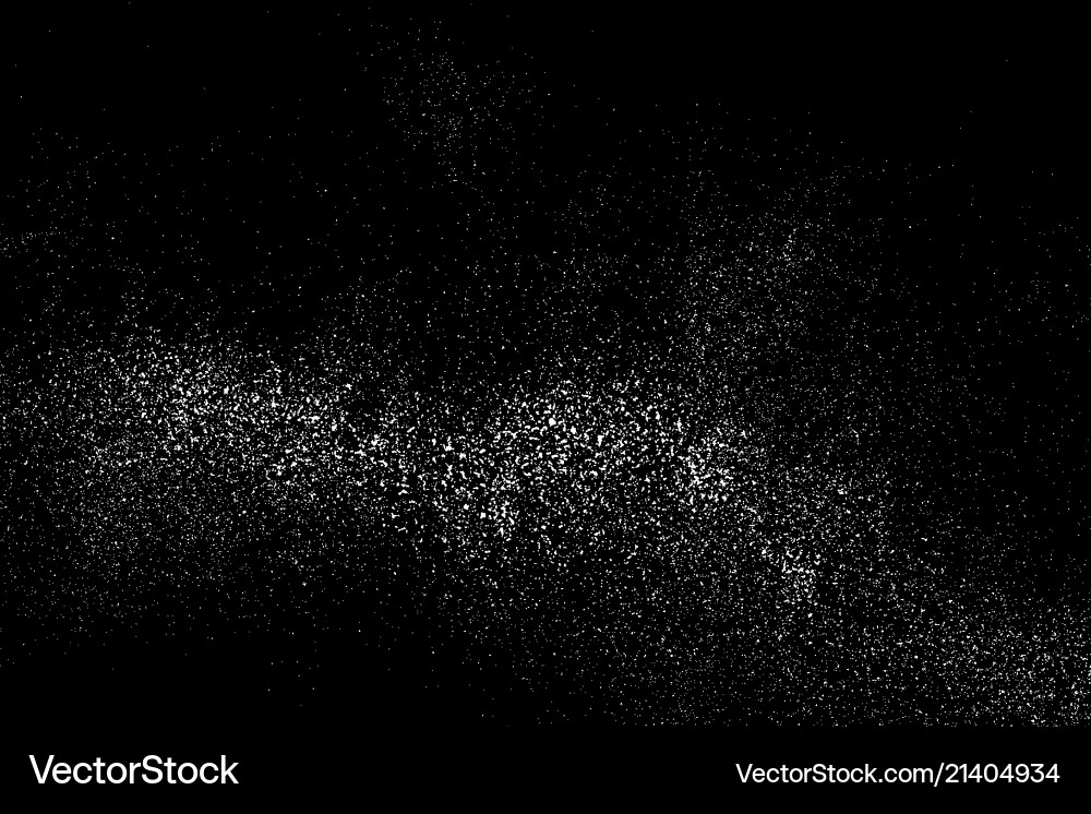 Grainy Black Texture vector image