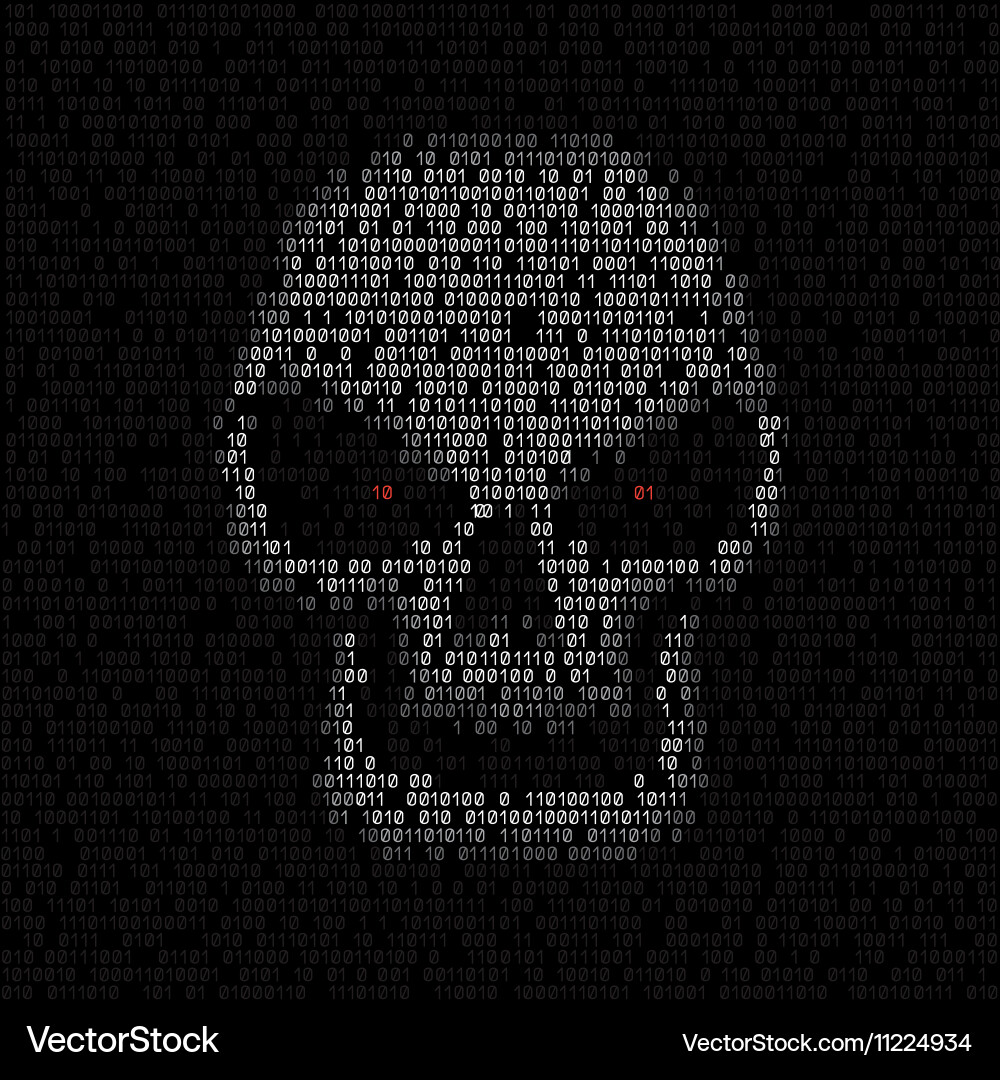 Hacked Code Skull vector image