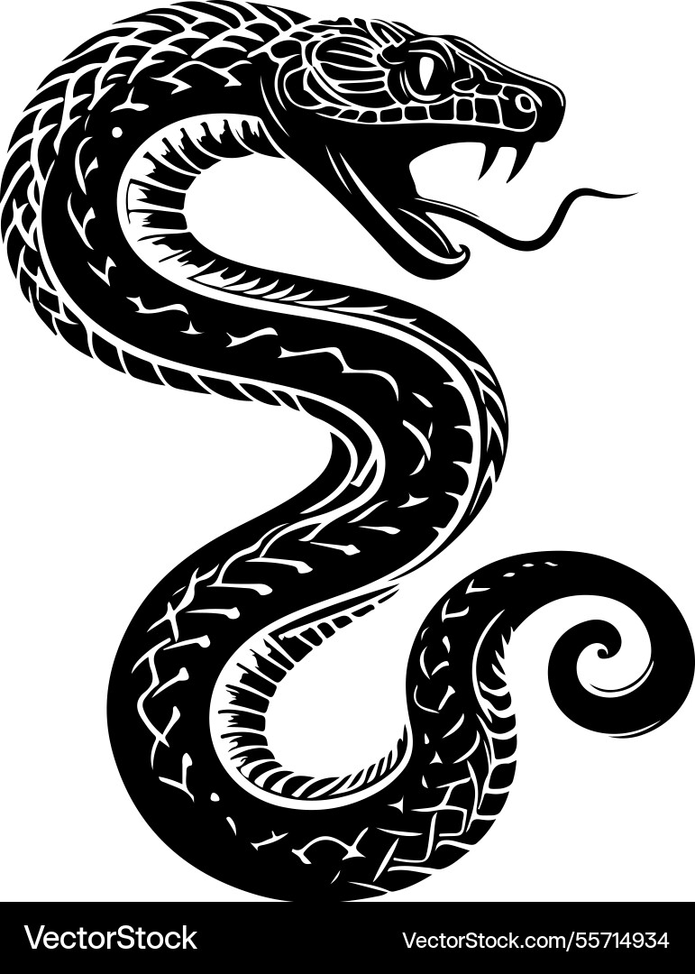 Python snake silhouette vector image