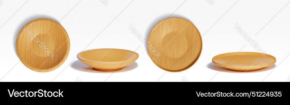 3d wood plate top view wooden round food bowl 3d wood plate top view wooden round food bowl vector image