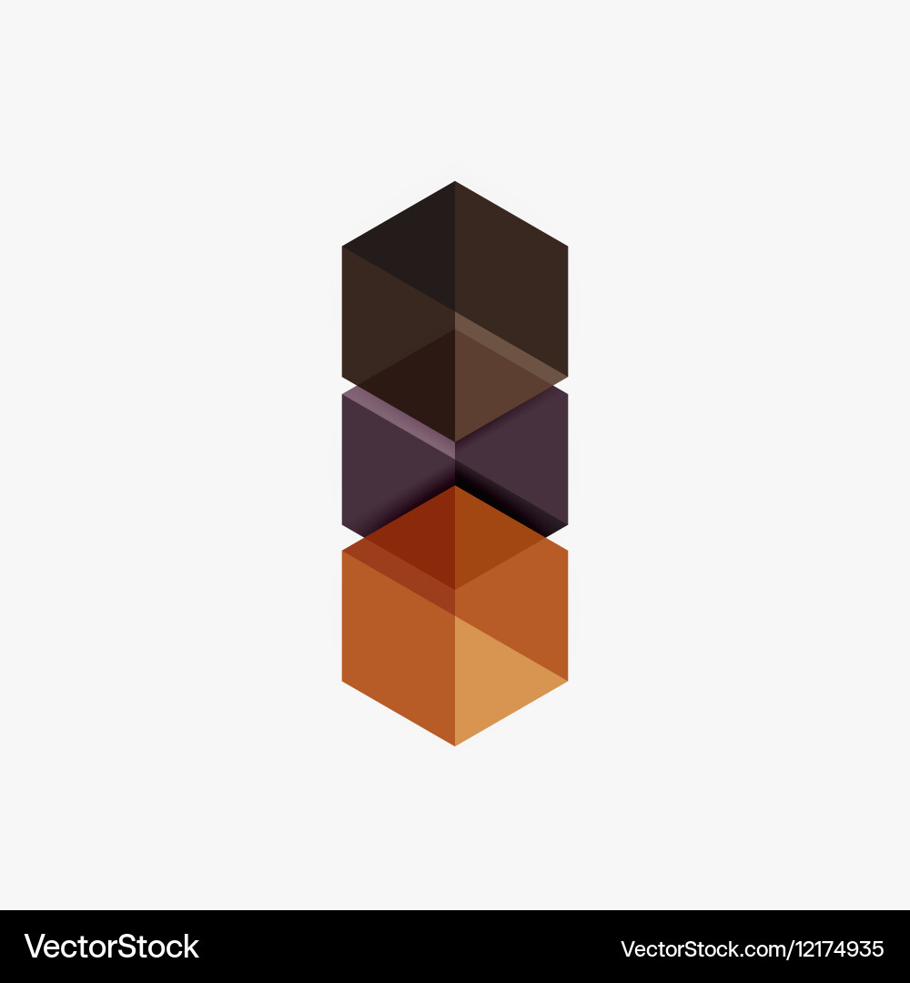Empty blank hexagon layout geometric template vector image