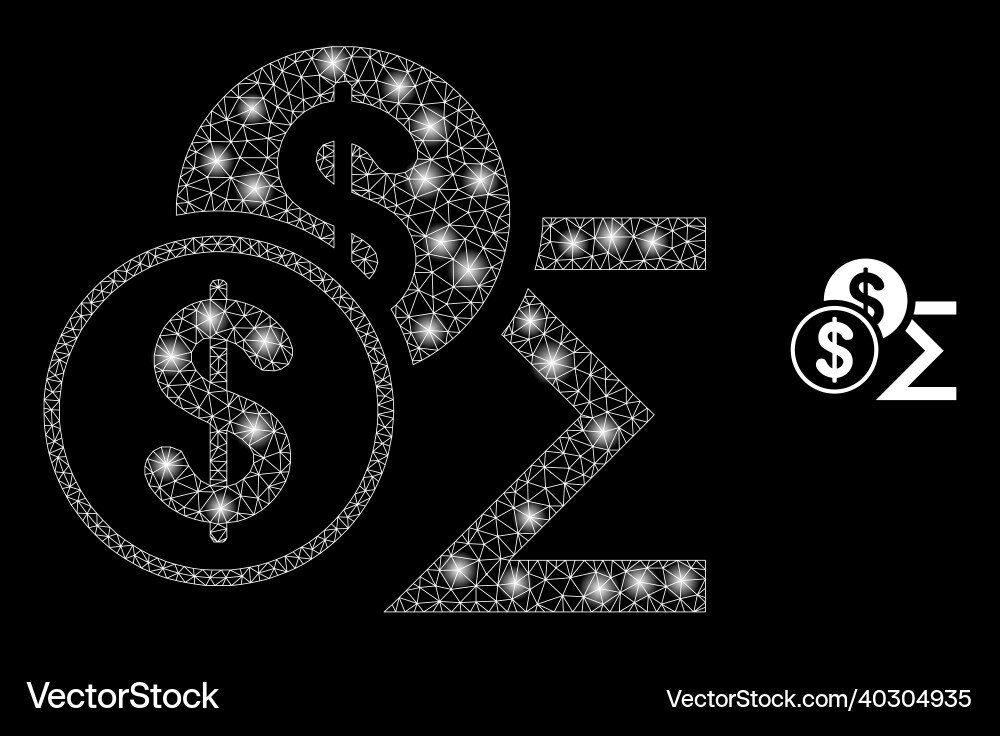 Mesh net dollar sum with magic network Mesh net dollar sum with magic network vector image
