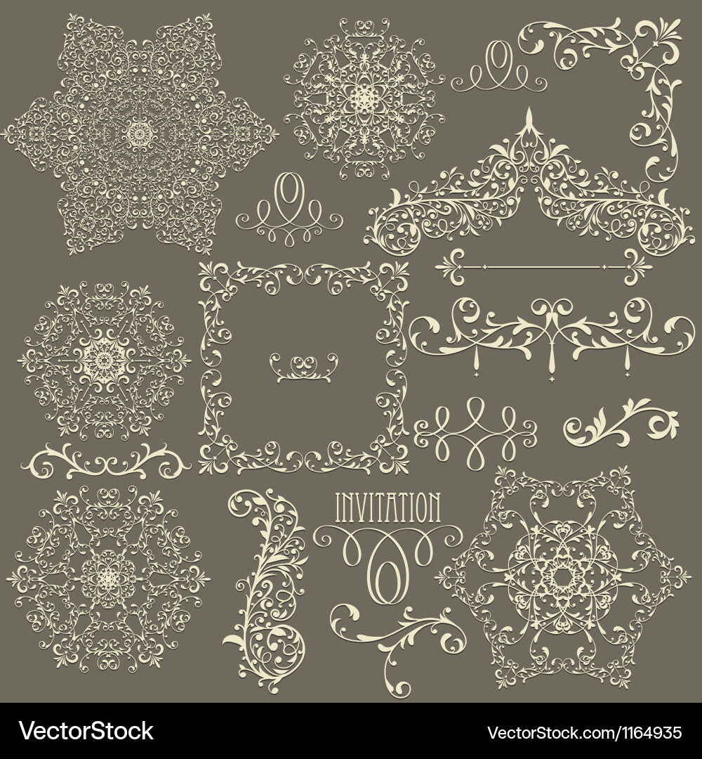 Vintage Floral Lace Elements vector image