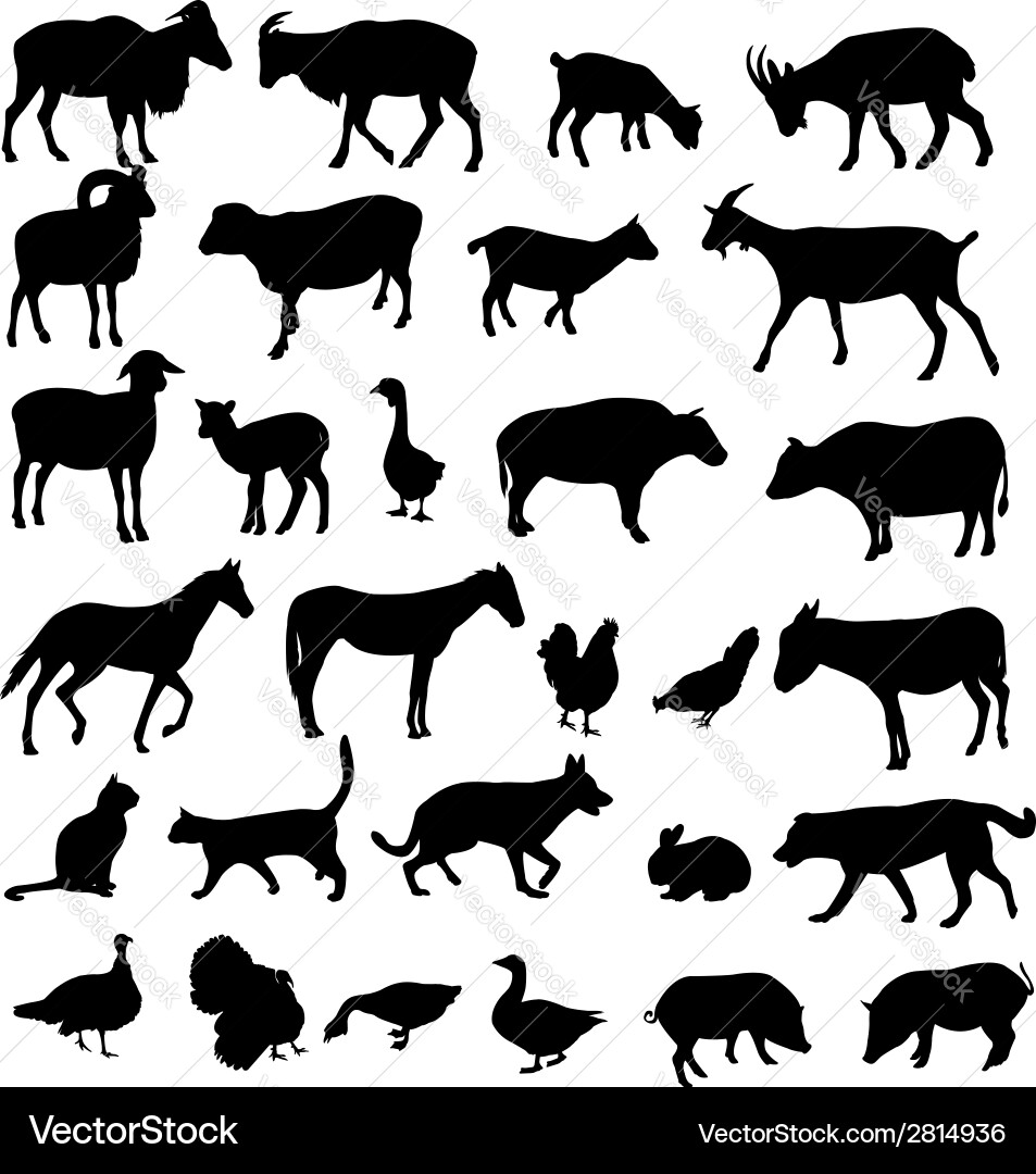 Farm Animal Silhouettes Vector Image