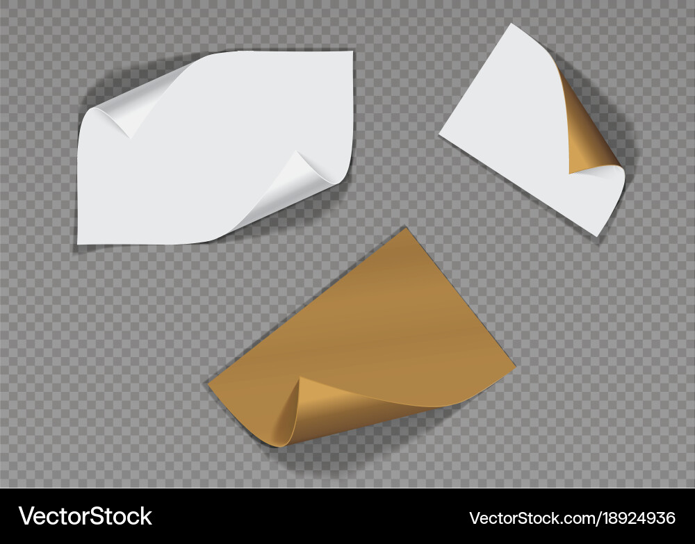 Page curl with shadow on a blank sheet of paper vector image