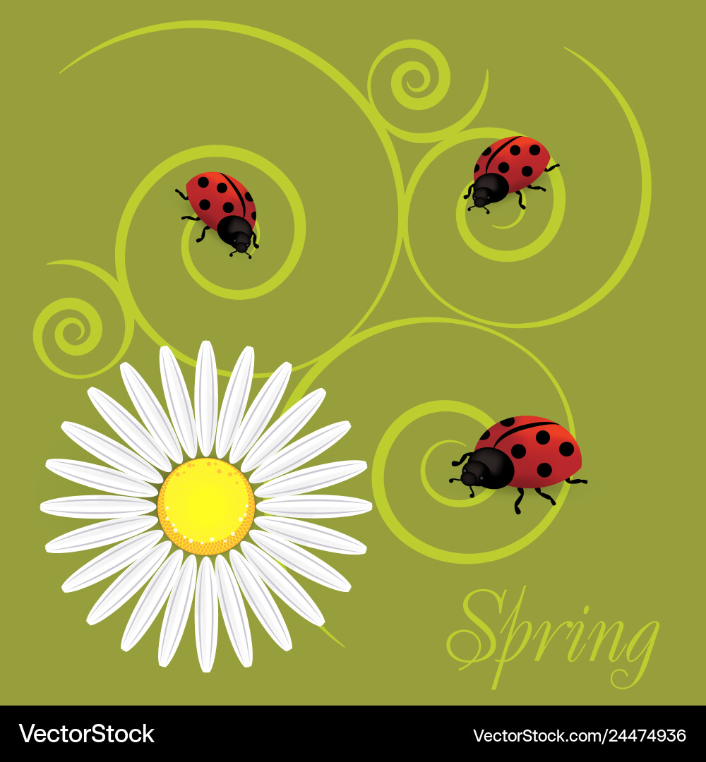Spring background with dandelions and ladybug vector image