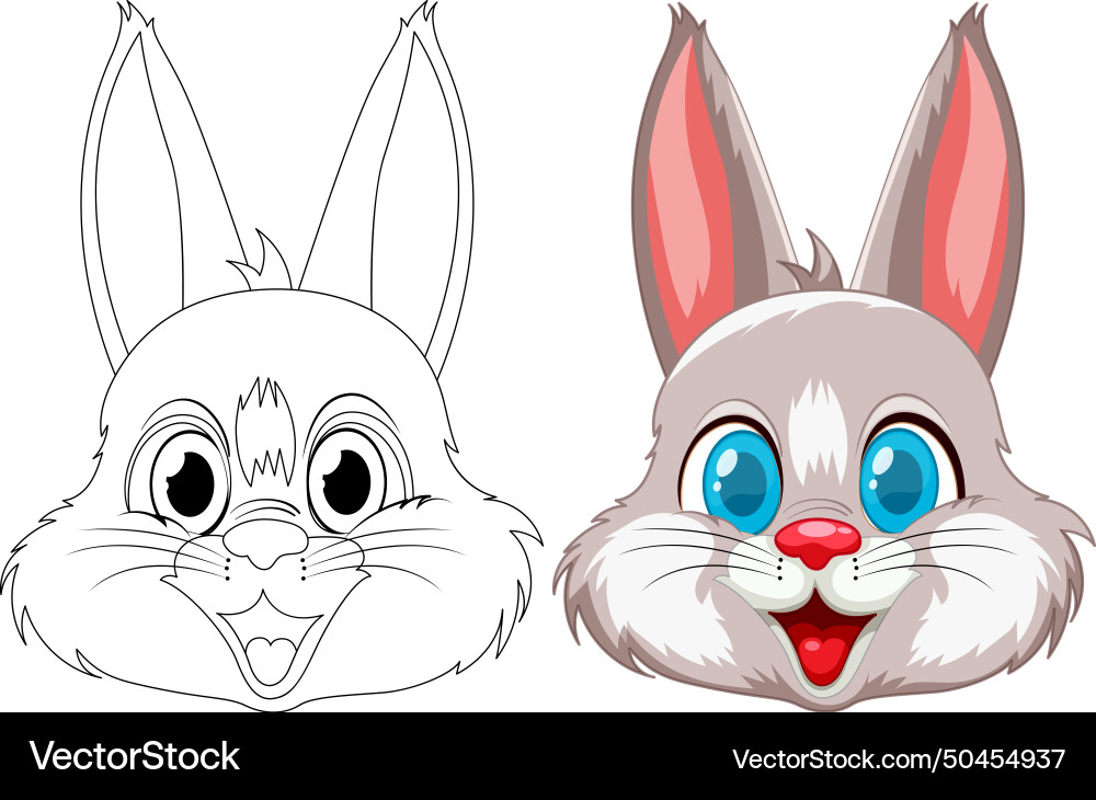 Rabbit transformation from line art to color Vector Image