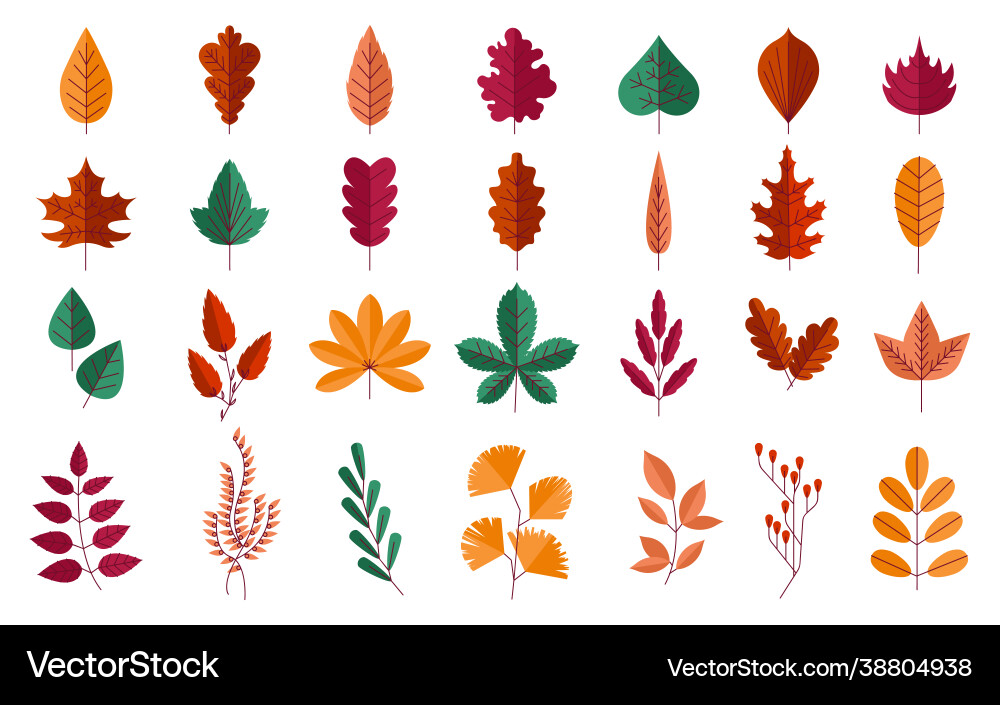 Herbstlaub Wald rot und gelb Blätter Herbstlaub Wald rot und gelb Blätter vektorbild