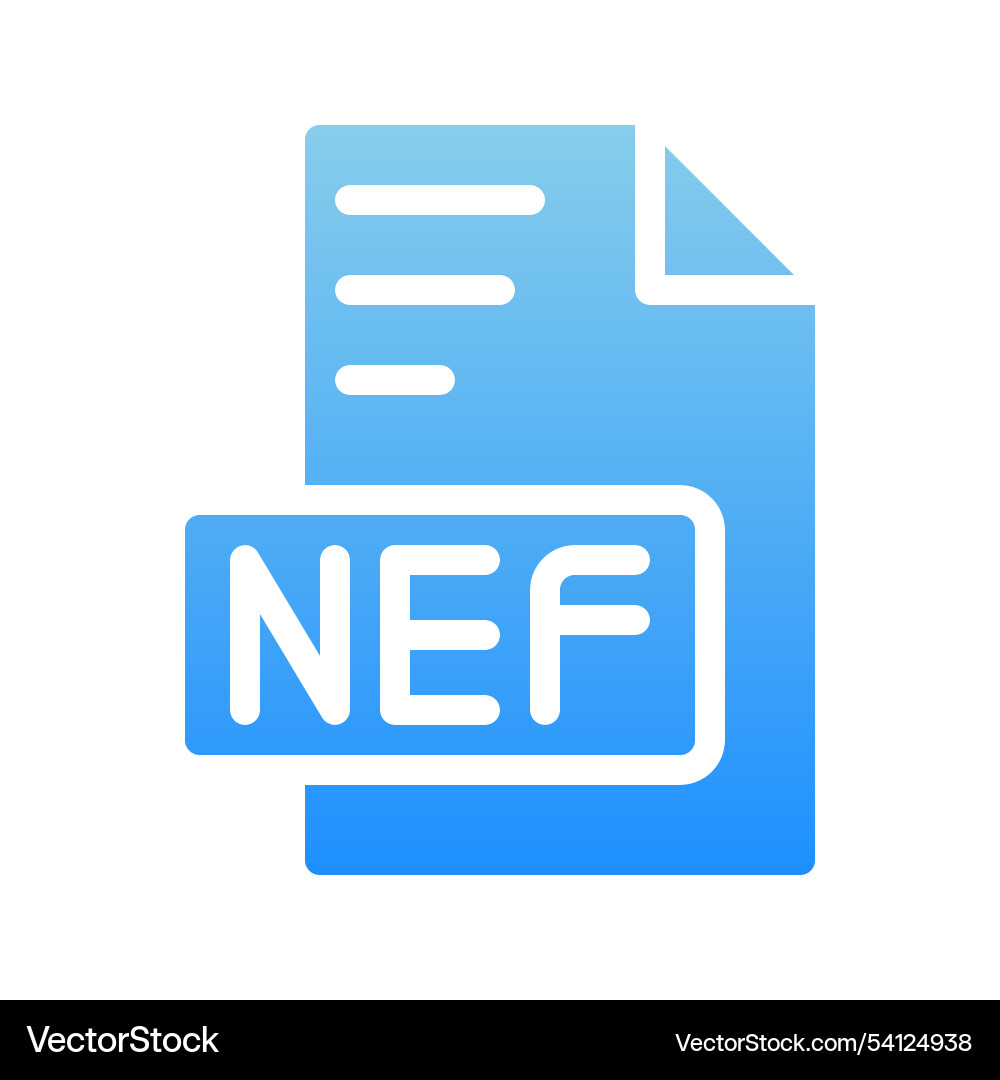 Nef document format icons symbol extension Nef document format icons symbol extension vector image