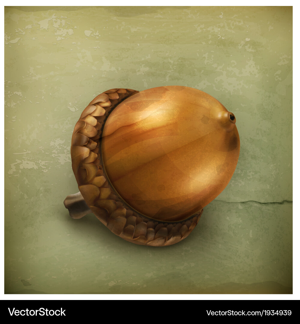 Acorn Style Acorn old style Royalty Free Vector Image - VectorStock