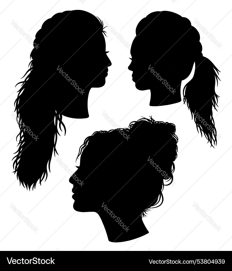 Female hairstyle model side face view silhouette Female hairstyle model side face view silhouette vector image