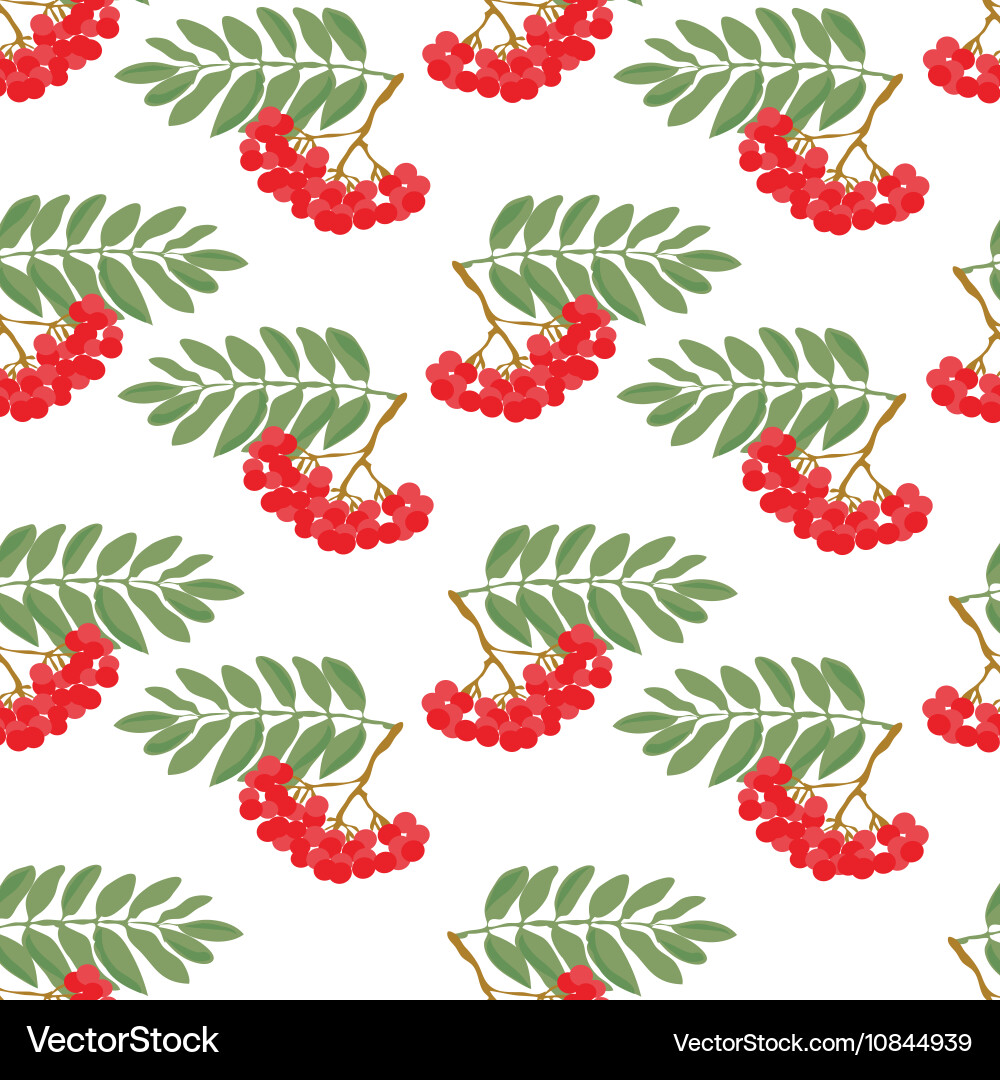 Rowan pattern Vector Image