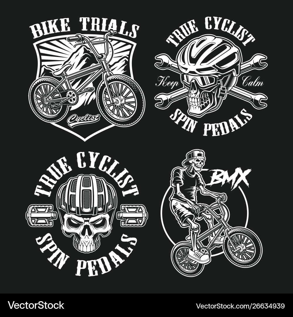 Vintage Bicycle Theme Set vector image