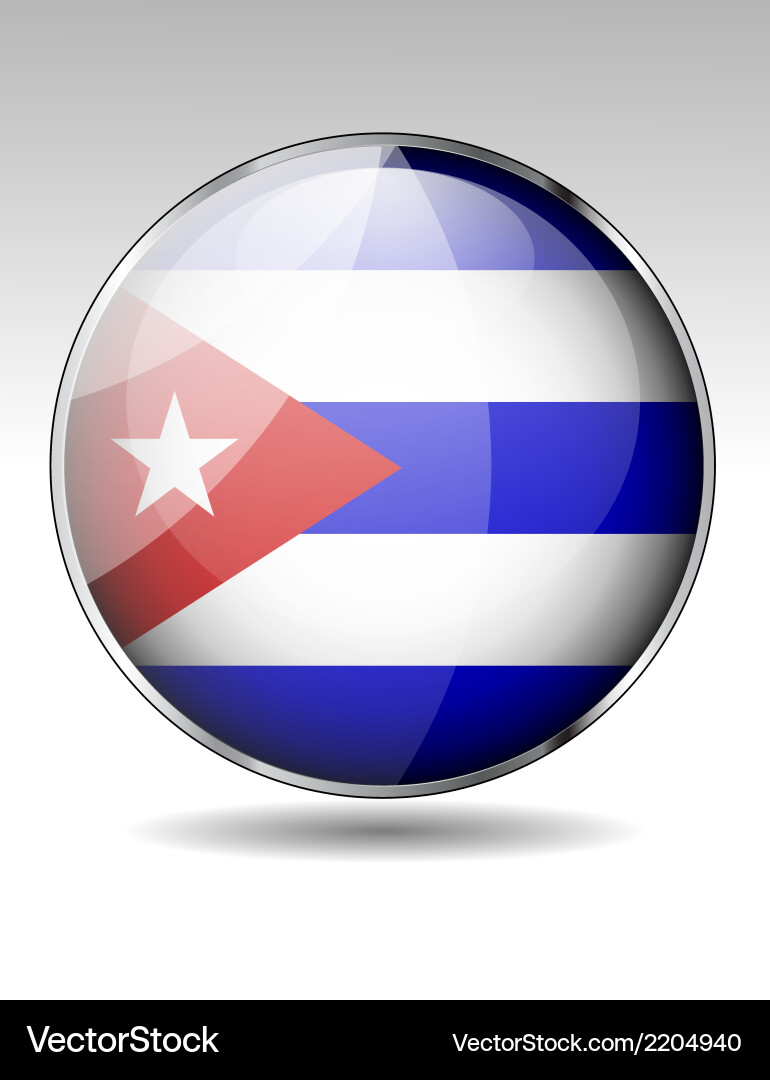 Flag button design elements Vector Image