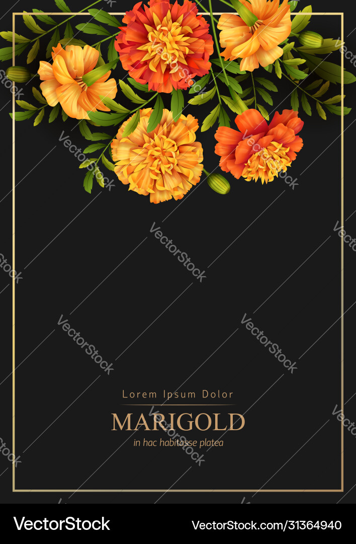 Floral holiday background Royalty Free Vector Image