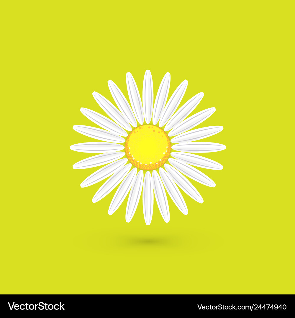 Spring background with dandelions vector image