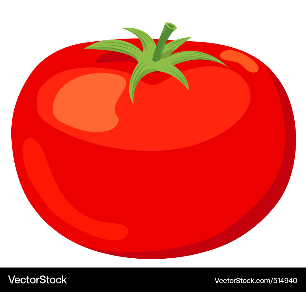 Tomato Royalty Free Vector Image - VectorStock