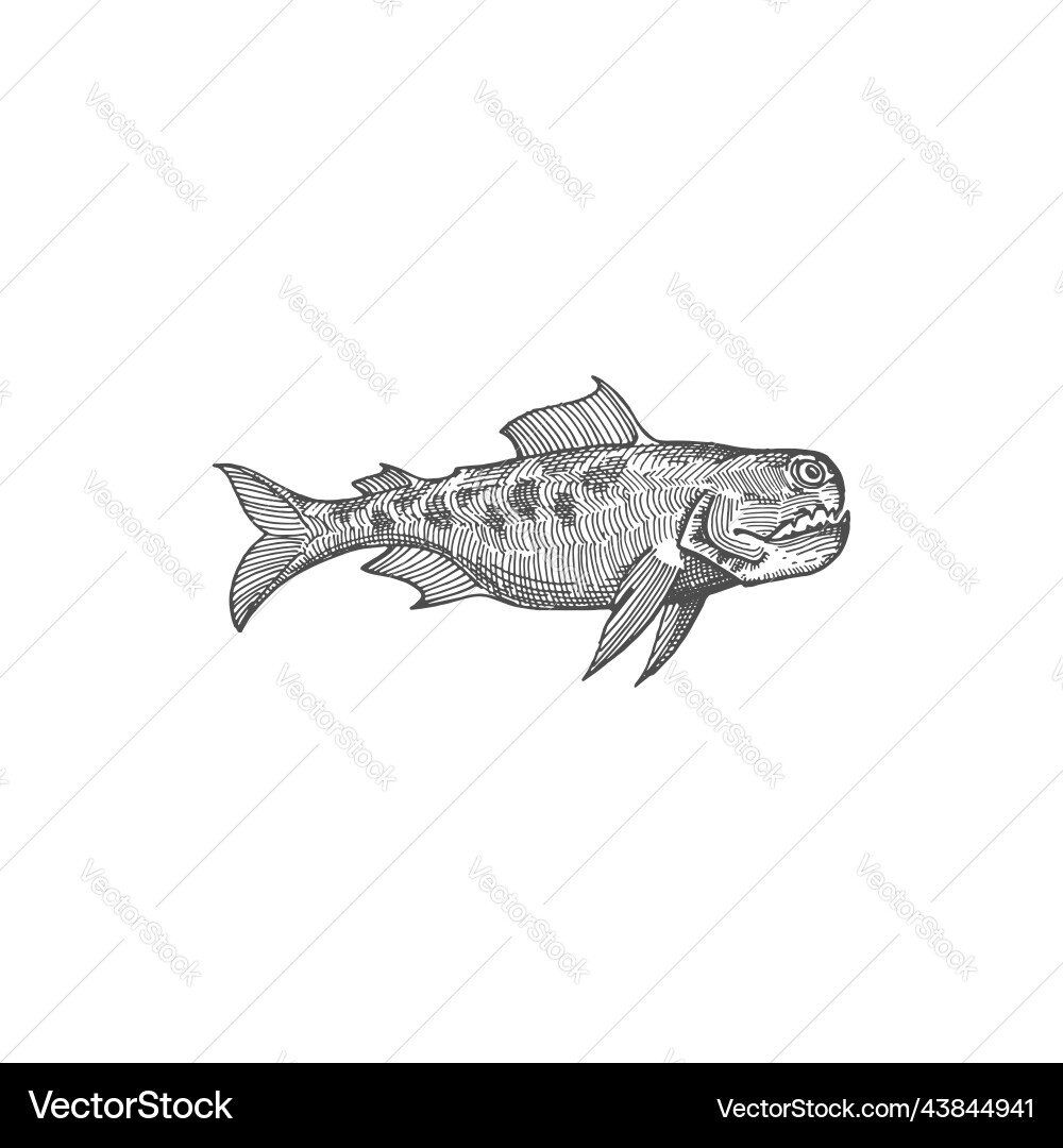 Dragonfish fangtooth lange Nase Chimaera Fisch Ikone Dragonfish fangtooth lange Nase Chimaera Fisch Ikone vektorbild