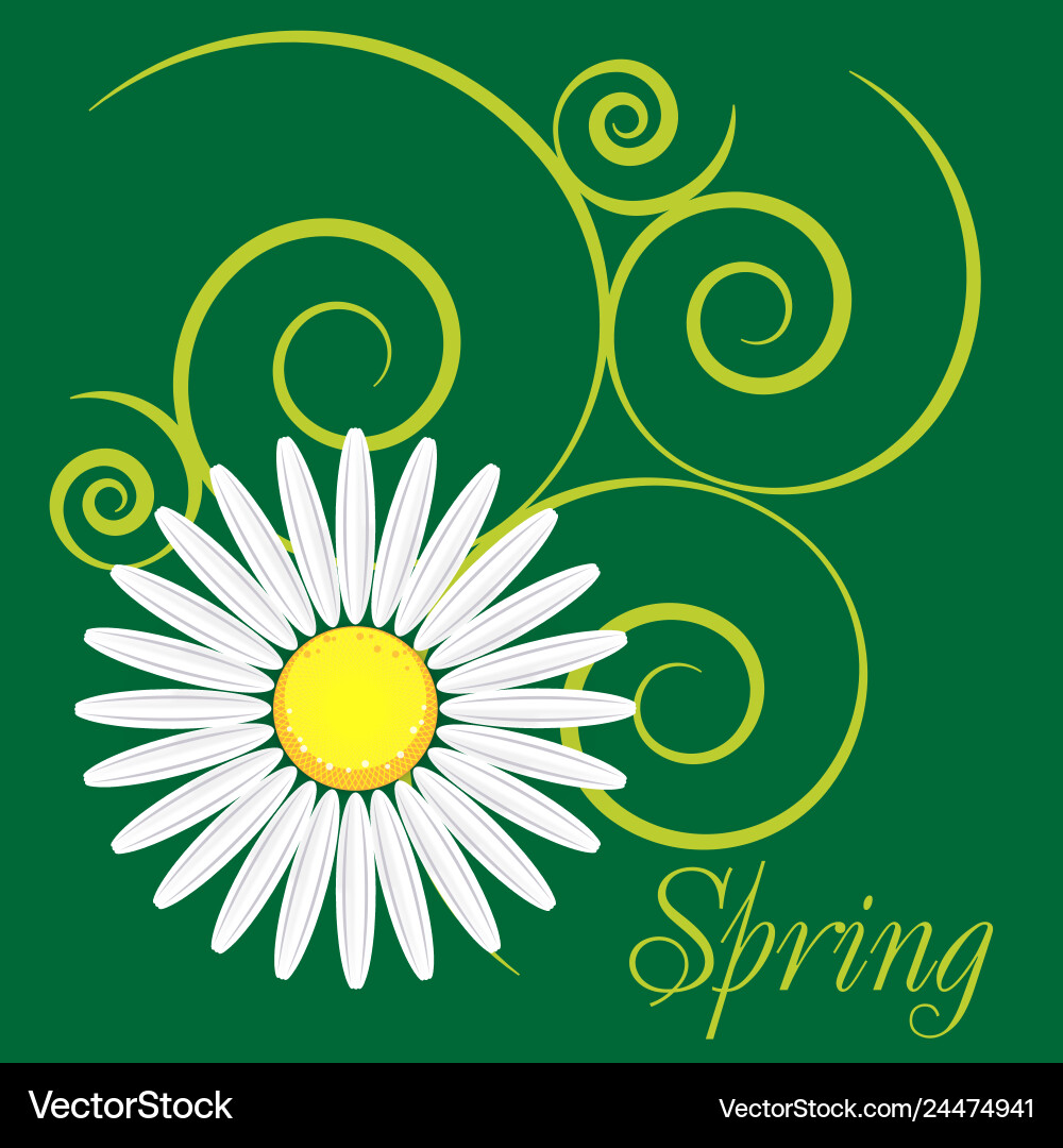 Spring background with dandelions and ladybug vector image