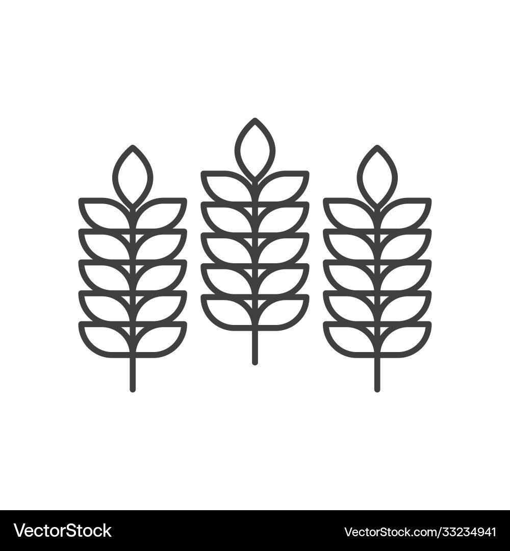 Three spikelets icon a simple linear image Three spikelets icon a simple linear image vector image