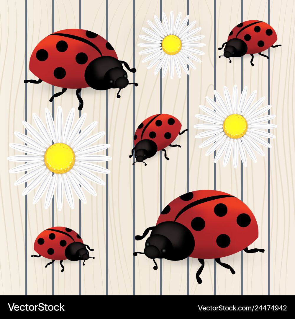 Spring background with dandelions and ladybug vector image
