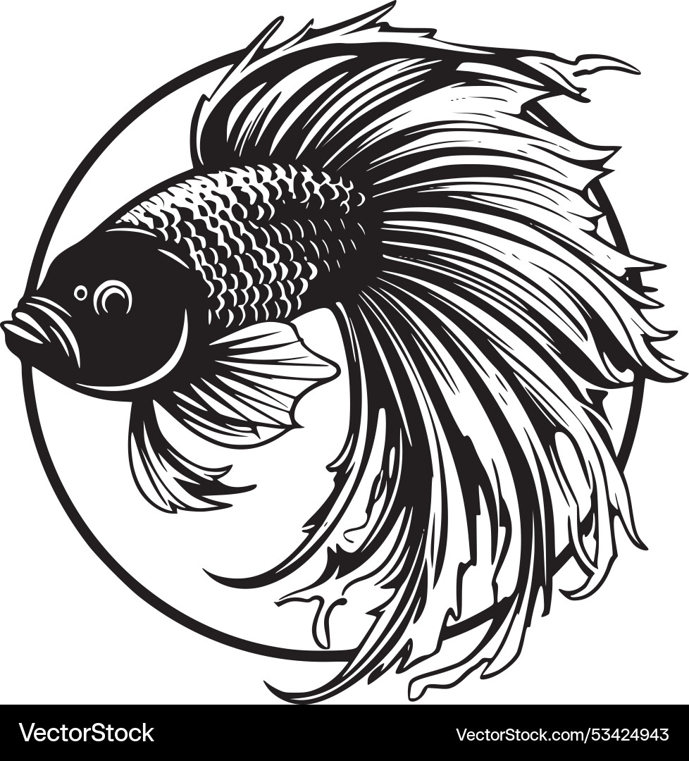 Betta Fisch - hochwertiges Logo ideal Betta Fisch - hochwertiges Logo ideal vektorbild