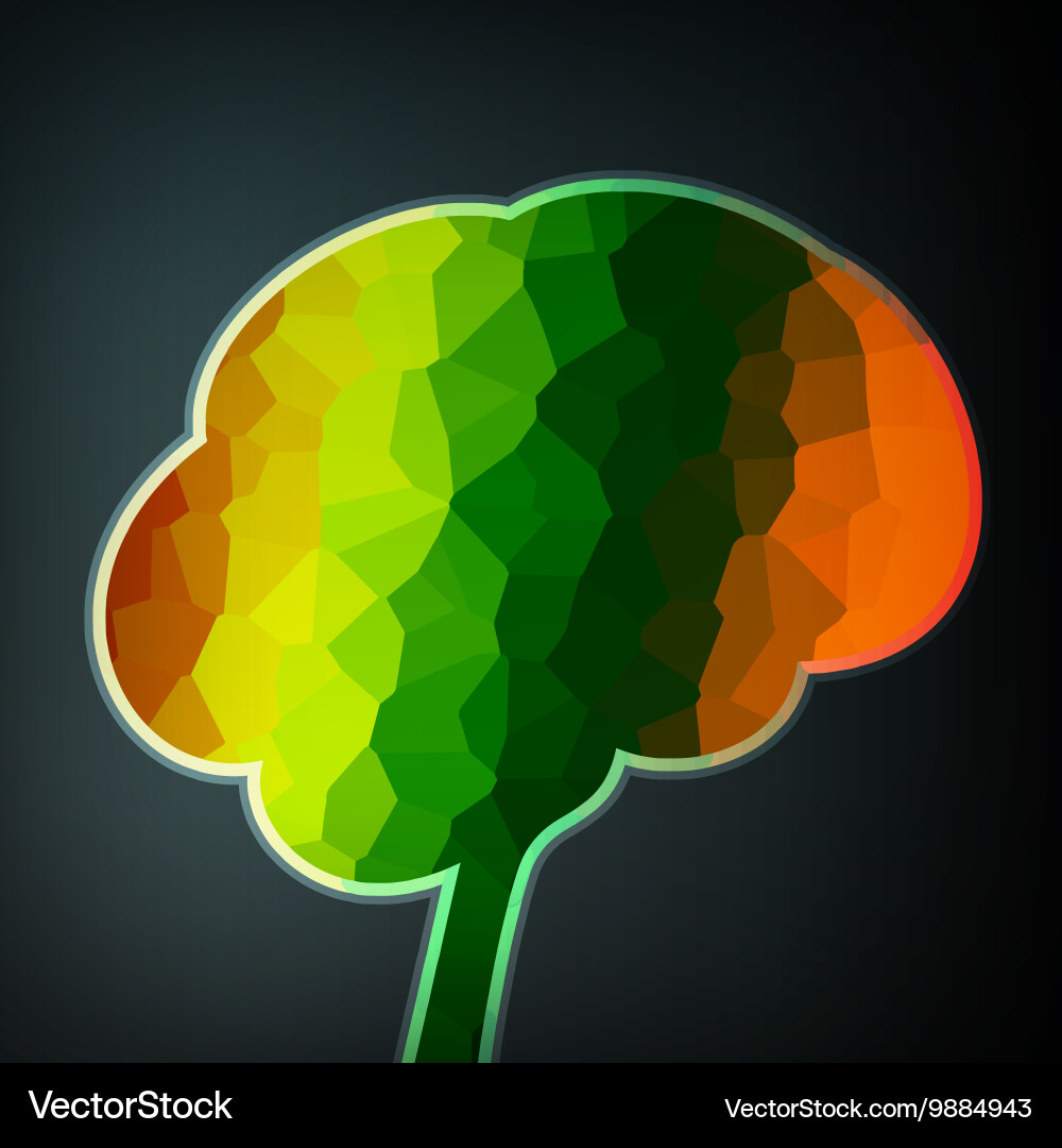 Colorful structure in the form of brain Vector Image