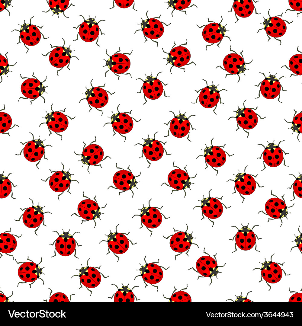 Ladybug pattern vector image