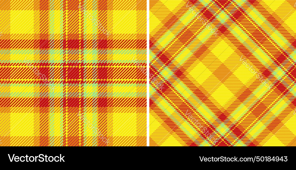 Texture background of textile tartan pattern vector image