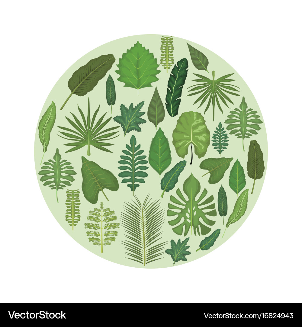 White background with circular frame Vector Image