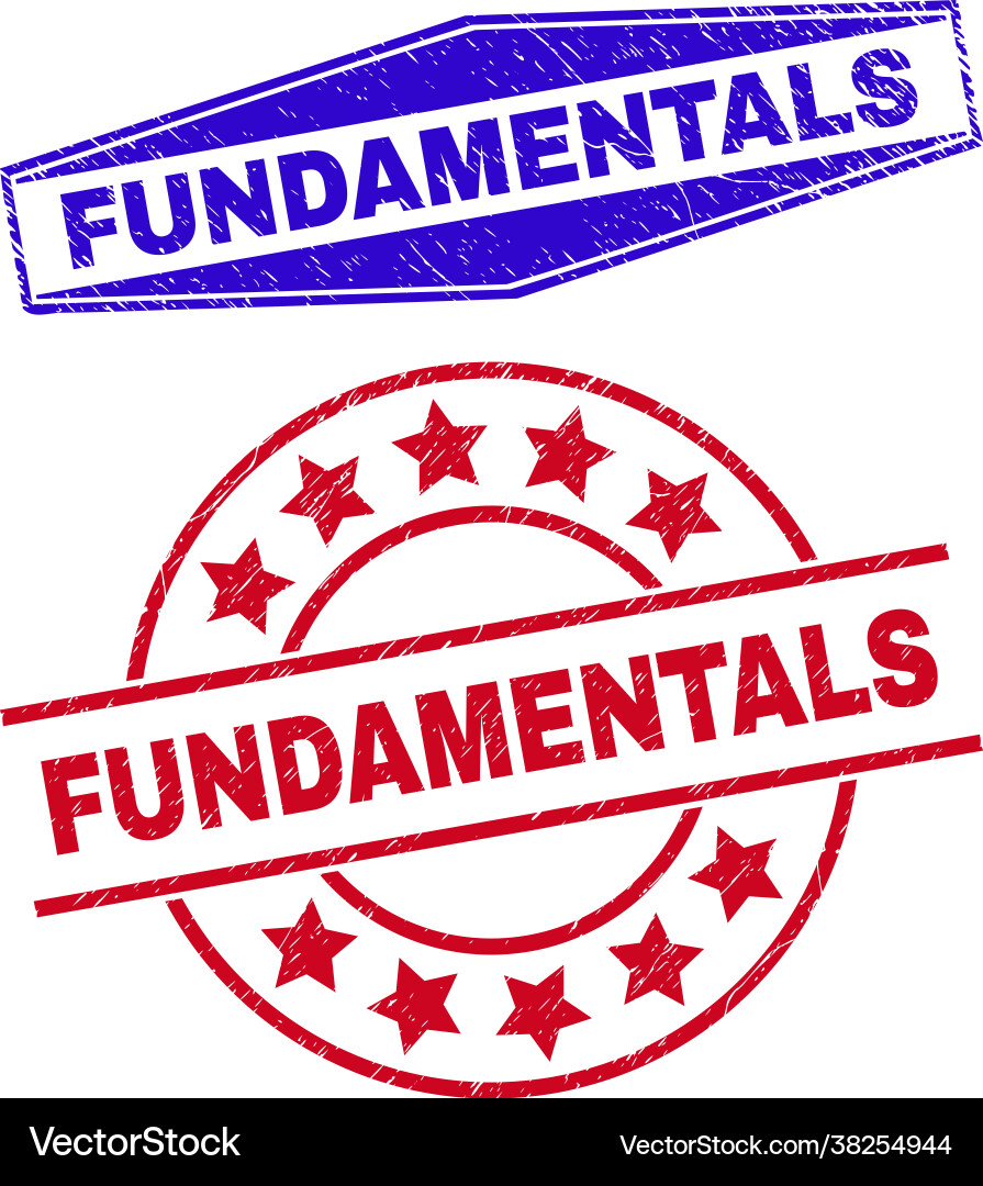 Fundamentals rubber seals in round and hexagonal Vector Image