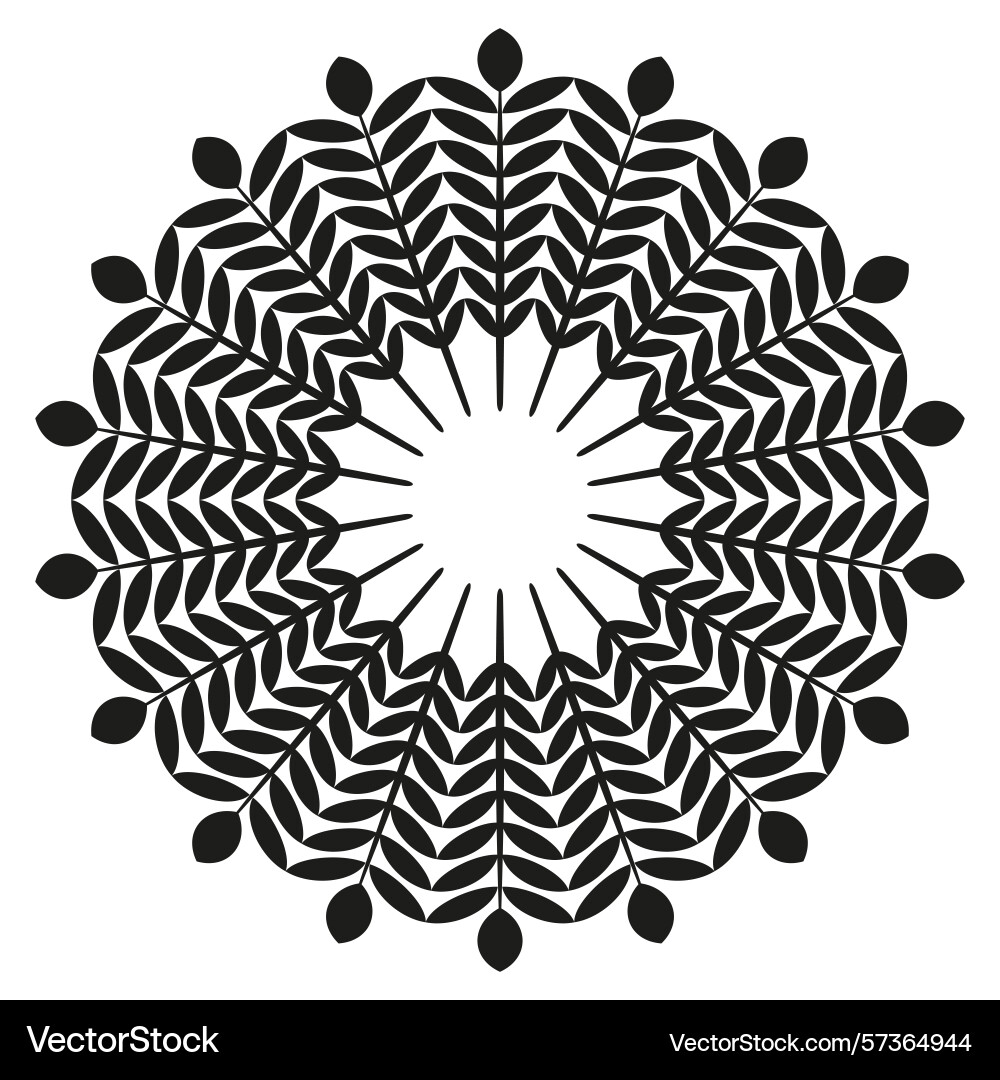 Mandala pattern design circular ornament shape Mandala pattern design circular ornament shape vector image
