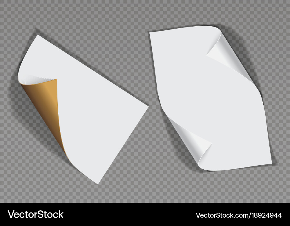 Page curl with shadow on a blank sheet of paper Vector Image