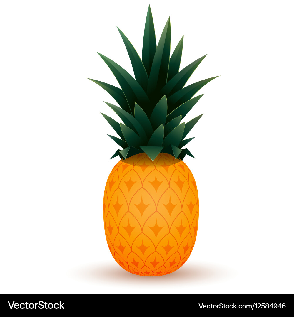 Cartoon Pineapple Fruit Royalty Free Vector Image