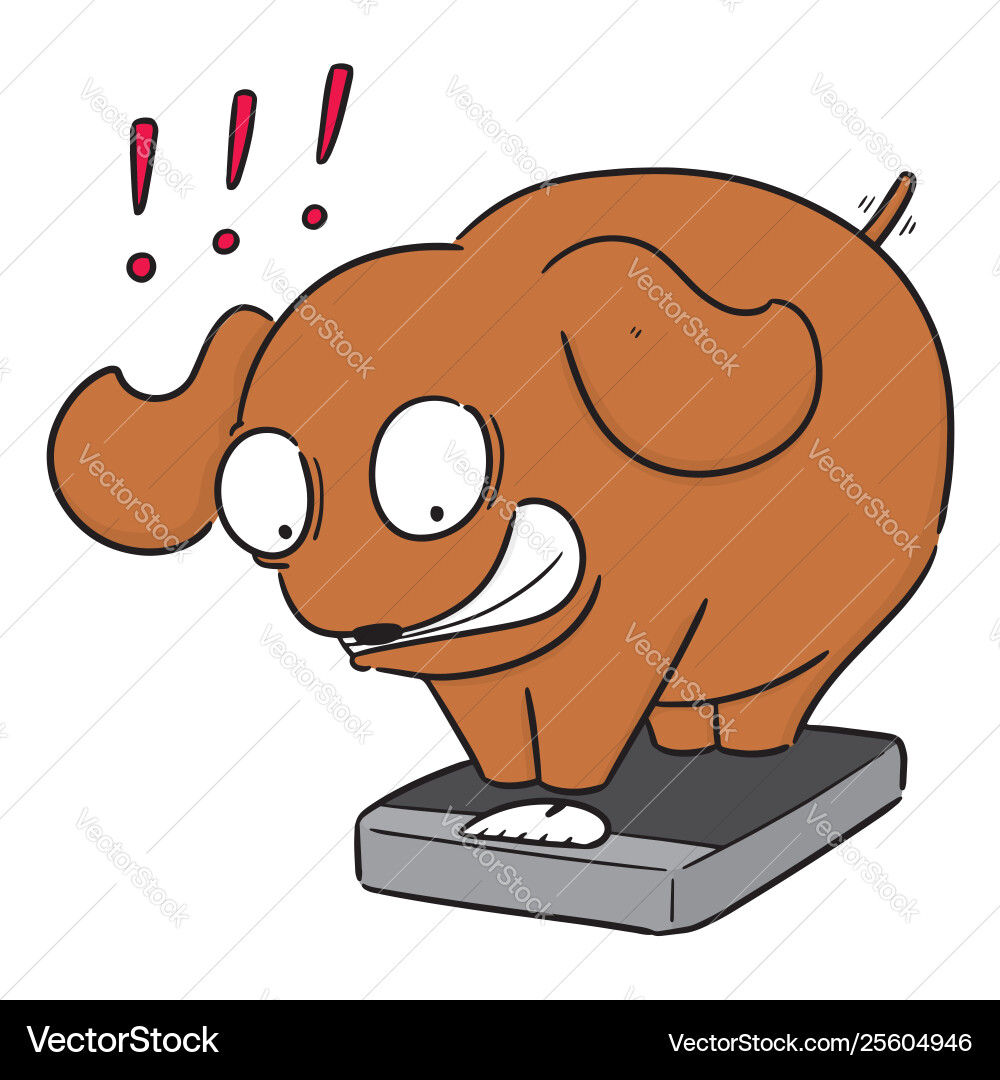 Dog on weighing machine Dog on weighing machine vector image