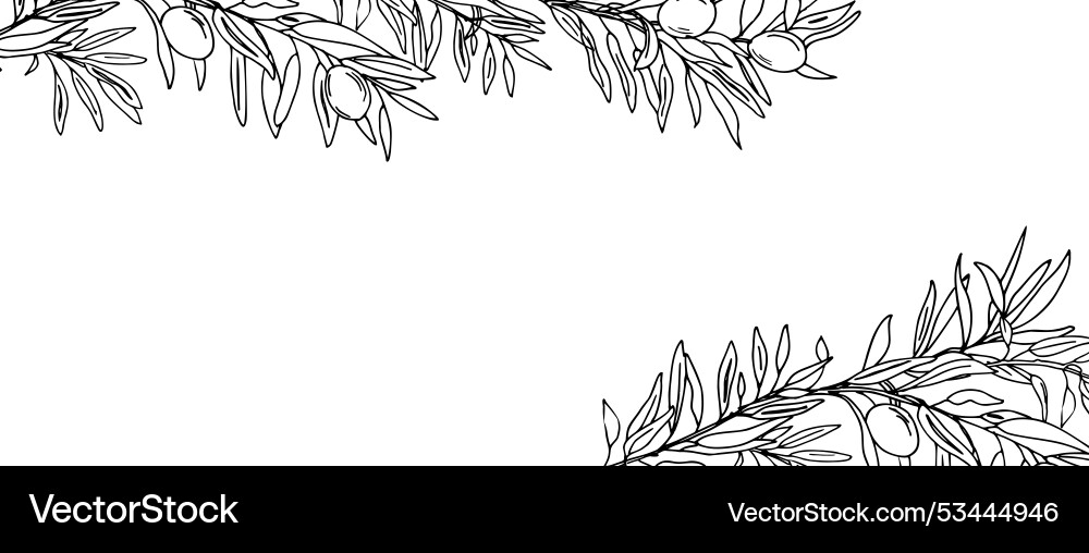 Horizontal frame border with olive tree branches Vector Image