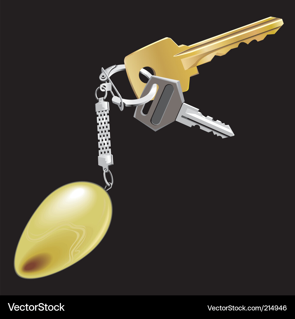 Onyx Gem on Chain vector image