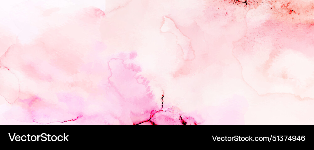 Watercolor Pink Stain Background vector image
