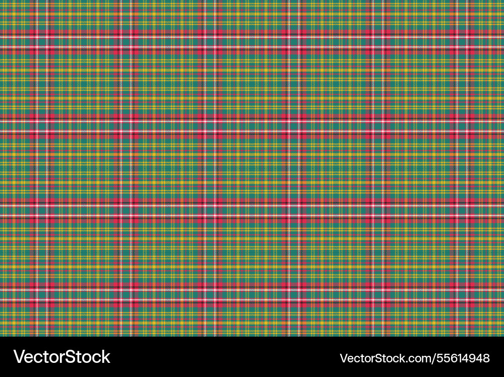Ajrakh pattern and block print batik vector image