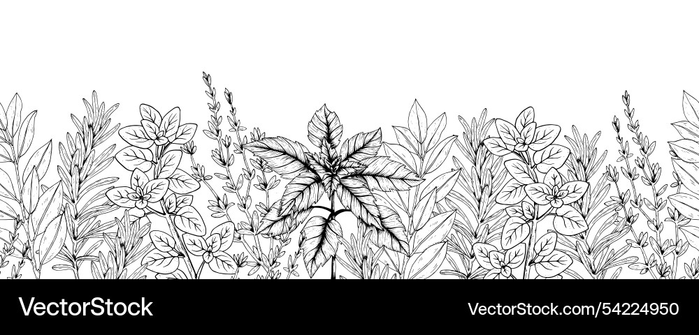 Graphics botanical seamless horizontal pattern Vector Image